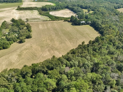 Land for sale Samson, AL - image 8