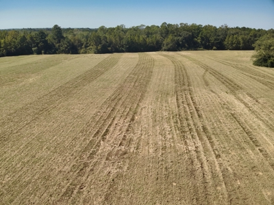 Land for sale Samson, AL - image 9