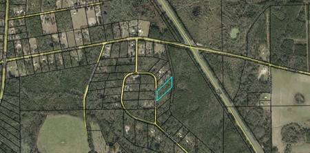 Land For Sale In North Florida - image 2