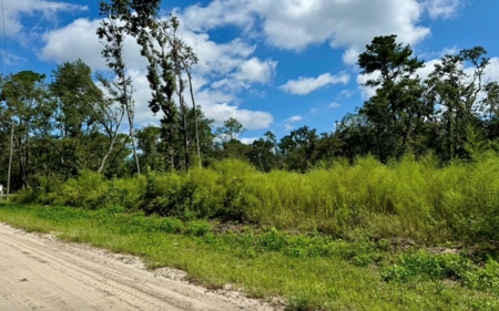 Land For Sale In North Florida - image 8