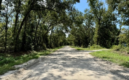 Land For Sale In North Florida - image 10