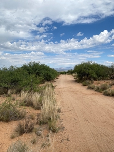 Online Auction - 4.0 Acre Ready To Build Lot, Benson, Az - image 10