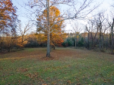 Home with Land for Sale in Weaubleau, MO - image 8