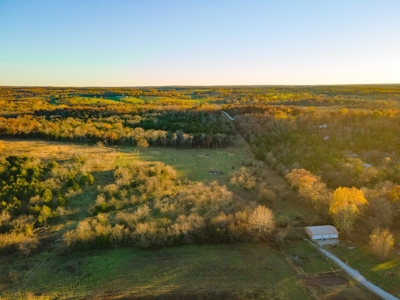 Home with Land for Sale in Weaubleau, MO - image 11