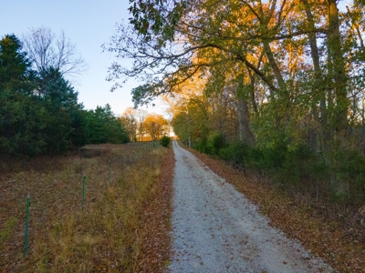 Home with Land for Sale in Weaubleau, MO - image 20