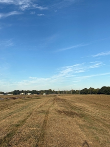 Commercial Property On Apollo Rd/Old Spanish Tr In Scott, La - image 9