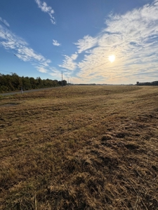 Commercial Property On Apollo Rd/Old Spanish Tr In Scott, La - image 7