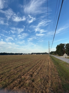 Commercial Property On Apollo Rd/Old Spanish Tr In Scott, La - image 3