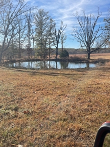80 Acres of Land for Sale in Ava, MO - image 3