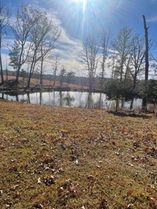 80 Acres of Land for Sale in Ava, MO - image 4