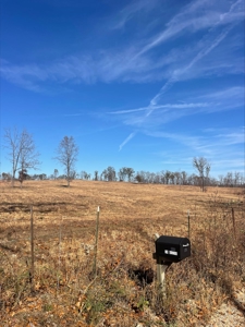 80 Acres of Land for Sale in Ava, MO - image 5
