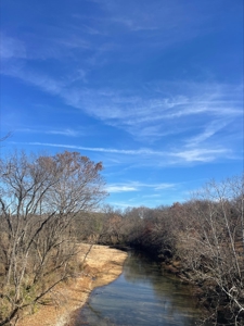80 Acres of Land for Sale in Ava, MO - image 7