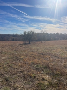 80 Acres of Land for Sale in Ava, MO - image 2