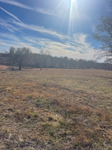 80 Acres of Land for Sale in Ava, MO - image 6