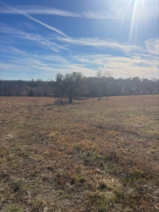 80 Acres of Land for Sale in Ava, MO - image 8