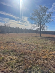 80 Acres of Land for Sale in Ava, MO - image 9