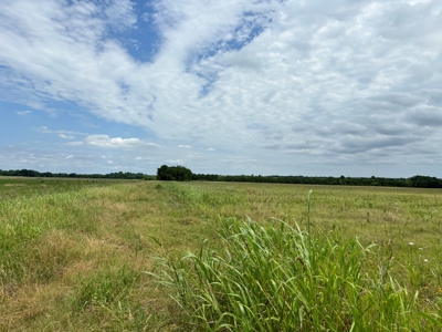 23 Acres of Scenic Land in Northeast Texas - image 2