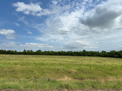 23 Acres of Scenic Land in Northeast Texas - image 5