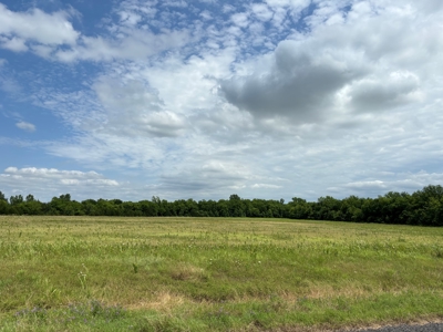 23 Acres of Scenic Land in Northeast Texas - image 4