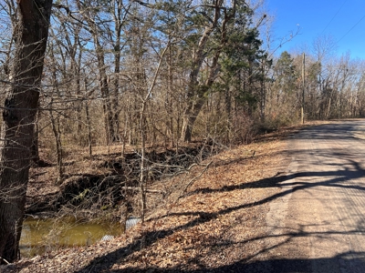 22.25 Acres of Scenic Land in Northeast Texas - image 2