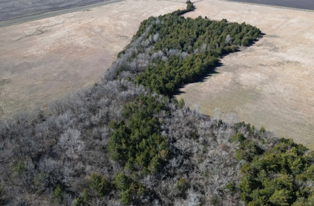 22.25 Acres of Scenic Land in Northeast Texas - image 8