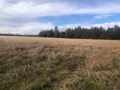 22.25 Acres of Scenic Land in Northeast Texas - image 7