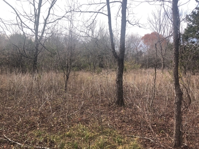 22.25 Acres of Scenic Land in Northeast Texas - image 4