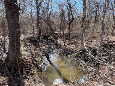 22.25 Acres of Scenic Land in Northeast Texas - image 3