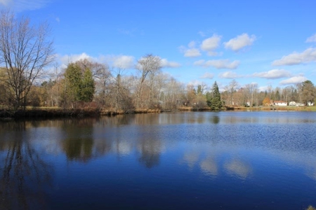 Waterfront Home with Pond Hillman MI near Thunder Bay River - image 9