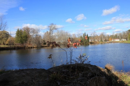 Waterfront Home with Pond Hillman MI near Thunder Bay River - image 18
