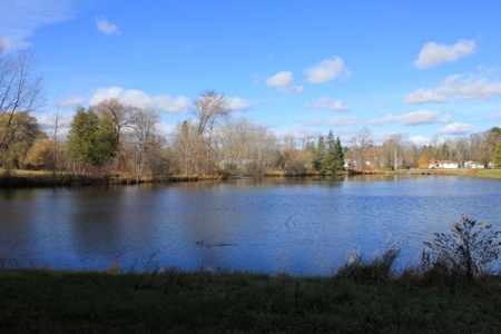 Waterfront Home with Pond Hillman MI near Thunder Bay River - image 14