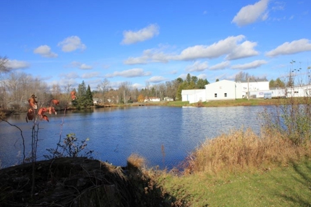 Waterfront Home with Pond Hillman MI near Thunder Bay River - image 19