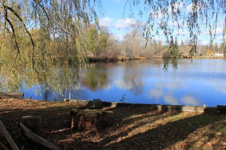 Waterfront Home with Pond Hillman MI near Thunder Bay River - image 7