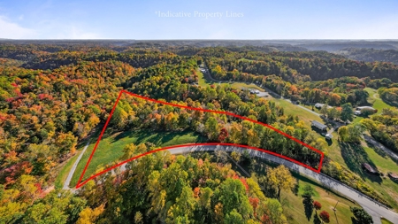 Escape to nature on this stunning 6.17-acre property! - image 11