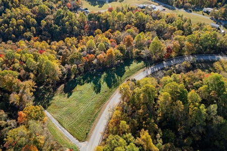 Escape to nature on this stunning 6.17-acre property! - image 4