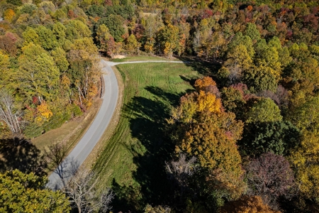 Escape to nature on this stunning 6.17-acre property! - image 10