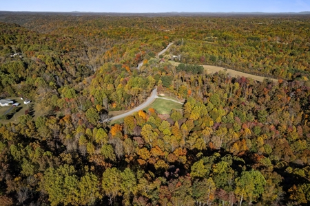 Escape to nature on this stunning 6.17-acre property! - image 5