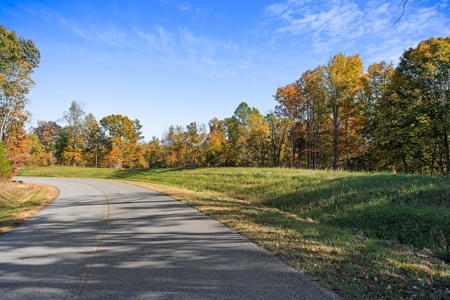 Escape to nature on this stunning 6.17-acre property! - image 13