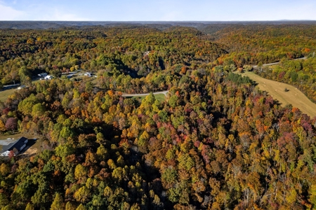 Escape to nature on this stunning 6.17-acre property! - image 6