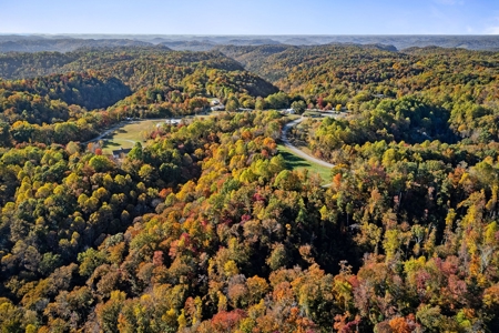 Escape to nature on this stunning 6.17-acre property! - image 8