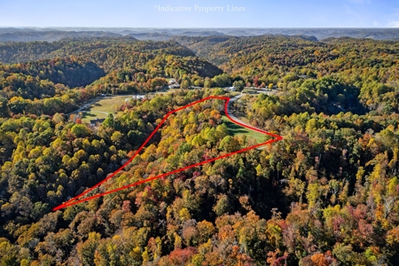 Escape to nature on this stunning 6.17-acre property! - image 7