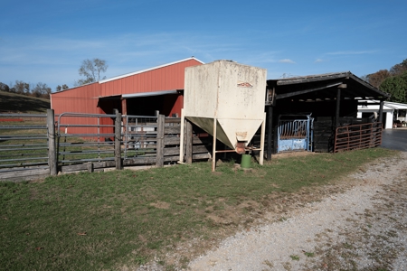 Working Cattle Ranch For Sale  In Tennessee, House, Barns - image 31