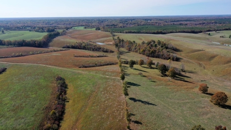 Working Cattle Ranch For Sale  In Tennessee, House, Barns - image 7