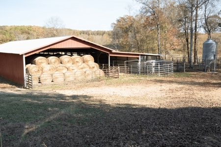 Working Cattle Ranch For Sale  In Tennessee, House, Barns - image 23