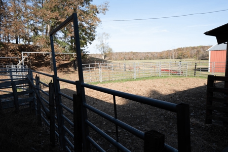 Working Cattle Ranch For Sale  In Tennessee, House, Barns - image 29