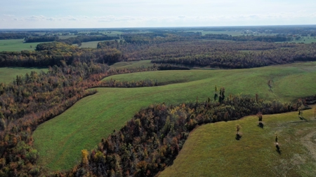 Working Cattle Ranch For Sale  In Tennessee, House, Barns - image 6
