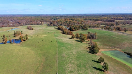 Working Cattle Ranch For Sale  In Tennessee, House, Barns - image 5