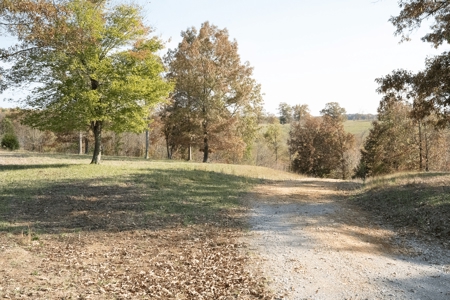 Working Cattle Ranch For Sale  In Tennessee, House, Barns - image 24