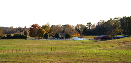 Working Cattle Ranch For Sale  In Tennessee, House, Barns - image 2