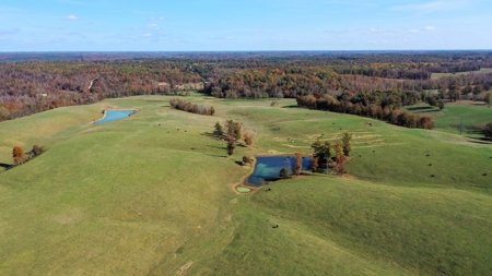Working Cattle Ranch For Sale  In Tennessee, House, Barns - image 8